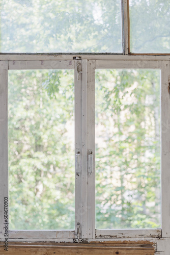 Old window with wooden painted frame  overlooking the trees in the garden