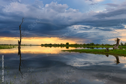 The river Oder, border river between Germany and Poland