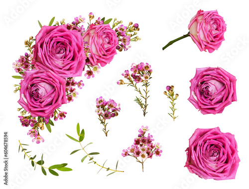 Set of pink roses and chame...