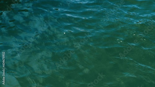 Wallpaper Mural Ripples on the sea water. Close-up. Aqua, blue and green. 4K Torontodigital.ca