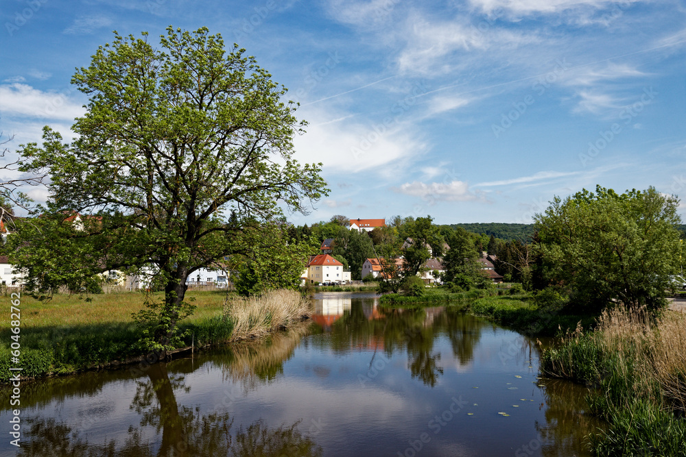Obraz premium landscape with lake
