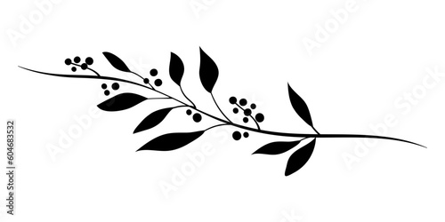 Contour of graceful decorative branches with monochrome leaves and black berries. For weddings and holidays. Decorative elements for design.