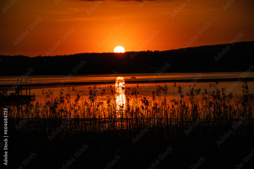 Naklejka premium sunset on the sea