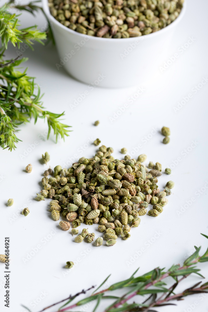 Bundle of fresh green aromatic thyme herbs with dried thyme seeds. Bundle of fresh green aromatic thyme herbs with dried thyme seeds.