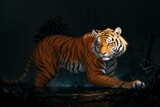 Mysterious Tiger in the Rainforest