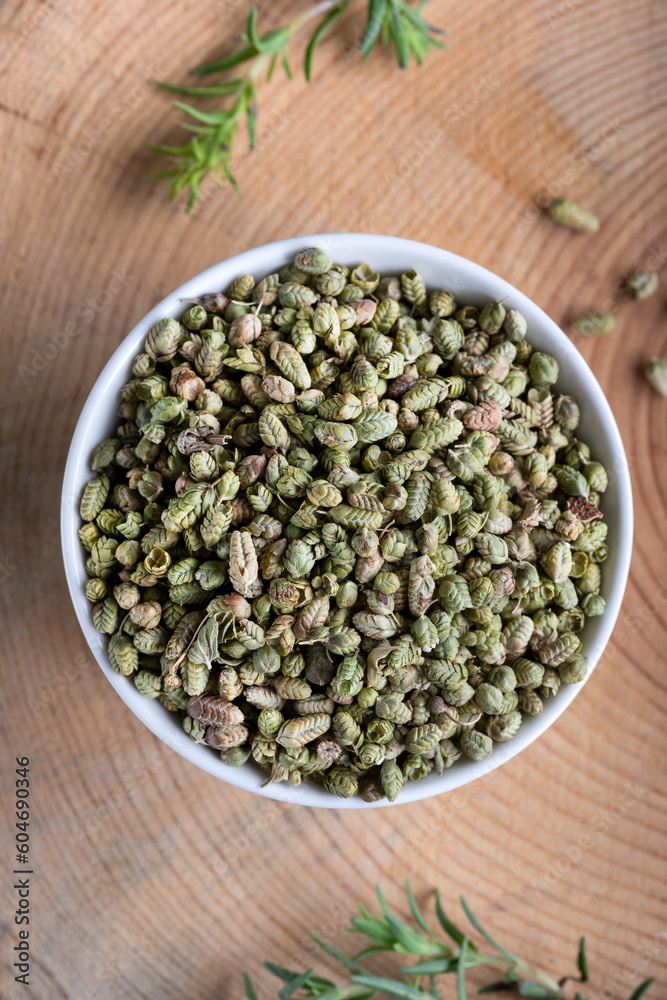 Fresh green aromatic thyme herbs with dried thyme seeds in a bowl. Fresh green aromatic thyme herbs with dried thyme seeds in a bowl.