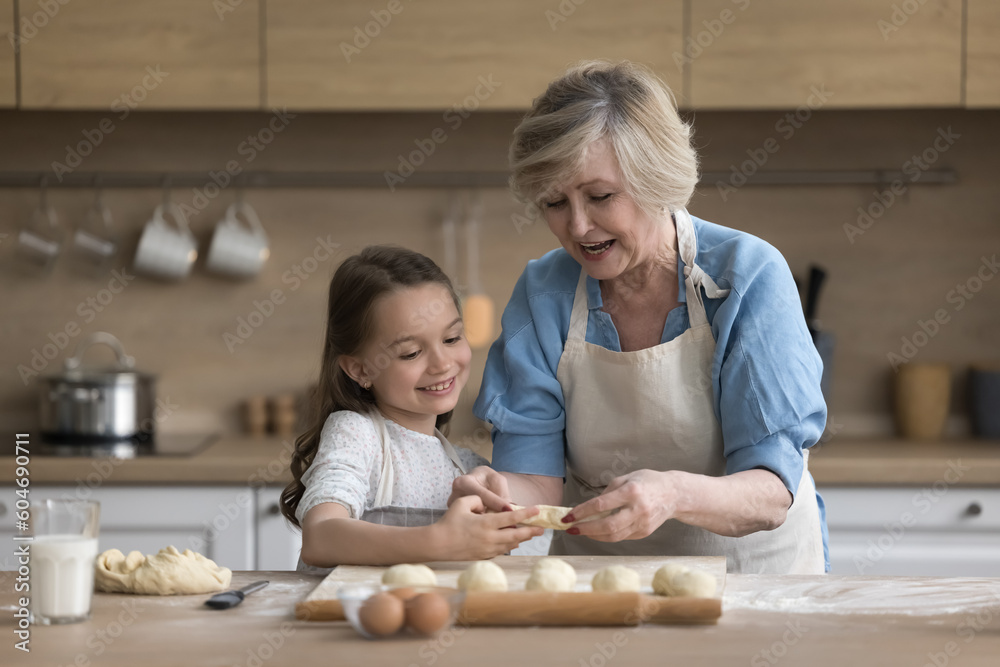 Loving attractive mature grandmother teach her cute little granddaughter to cook, teach preschooler girl preparing homemade buns, cooking together pastry on weekend at home. Share experience, cookery Loving attractive mature grandmother teach her cute little granddaughter to cook, teach preschooler girl preparing homemade buns, cooking together pastry on weekend at home. Share experience, cookery