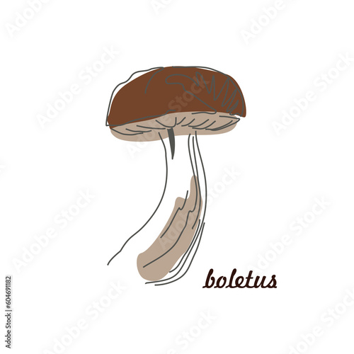 Vector image of a boletus mushroom. The most beautiful autumn time. Fruits of the forest