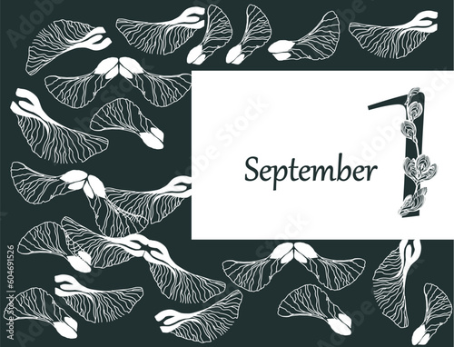 Autumn motives of flying foliage. Contour white maple leaves and lionfish on black background