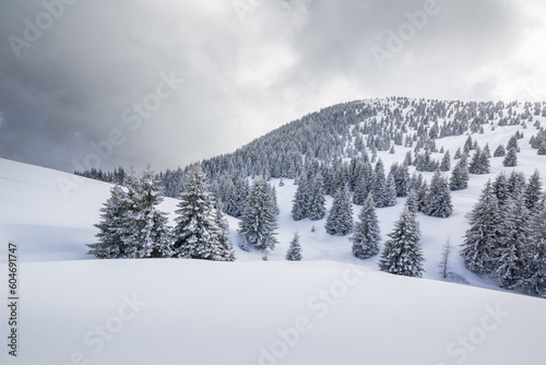 snow covered mountains
