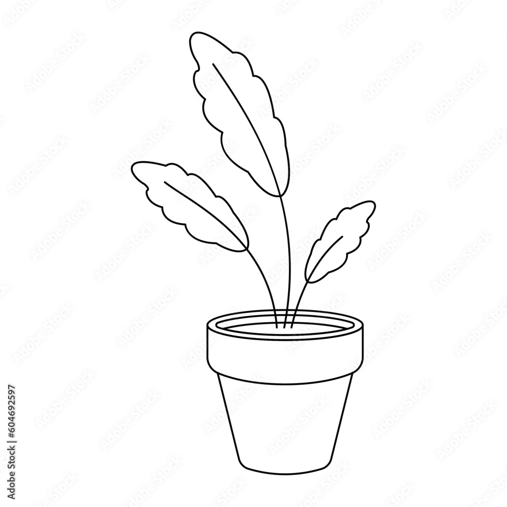Home plant in a pot, vector illustration Home plant in a pot, vector illustration