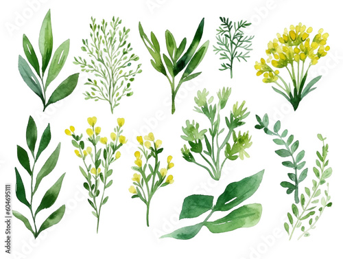 Wallpaper Mural Collection of watercolor flower floral natural elements on transparent background, AI generated Torontodigital.ca