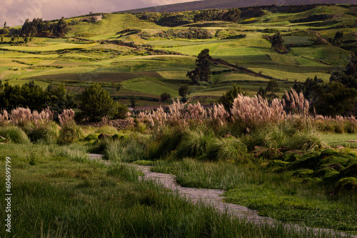 Arroyo discurre entre campos verdes y colinas en los andes peruanos photo