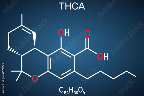 Tetrahydrocannabinolic acid, THCA, tetrahydrocannabinolate molecule. Precursor of tetrahydrocannabinol THC, active component cannabis. Structural chemical formula, dark blue background.
