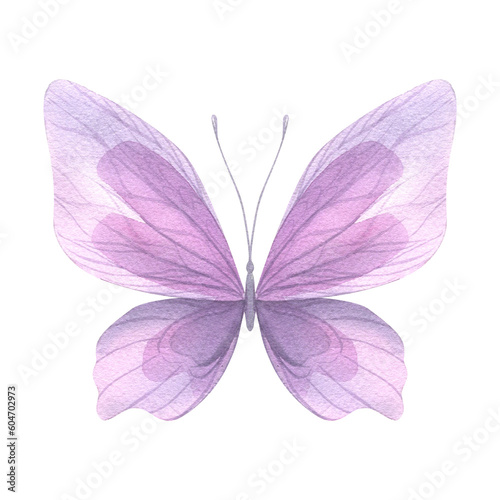 Purple butterfly. Hand-drawn watercolor illustration. Isolated object on a white background for decoration and design © NATASHA-CHU