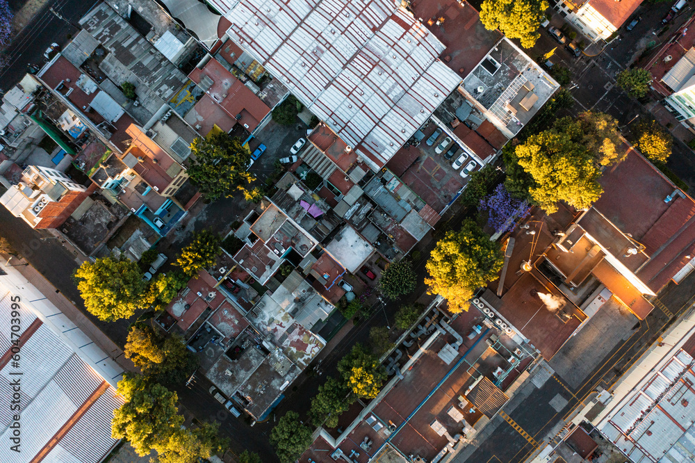 Aerial Top-Down View of Anzures Streets in Polanco, Mexico City Aerial Top-Down View of Anzures Streets in Polanco, Mexico City