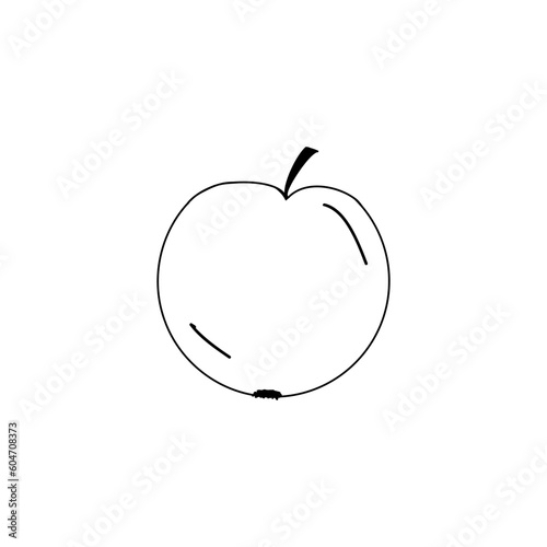 Obraz na płótnie apple, sketch of a vector drawing, isolated on a white background