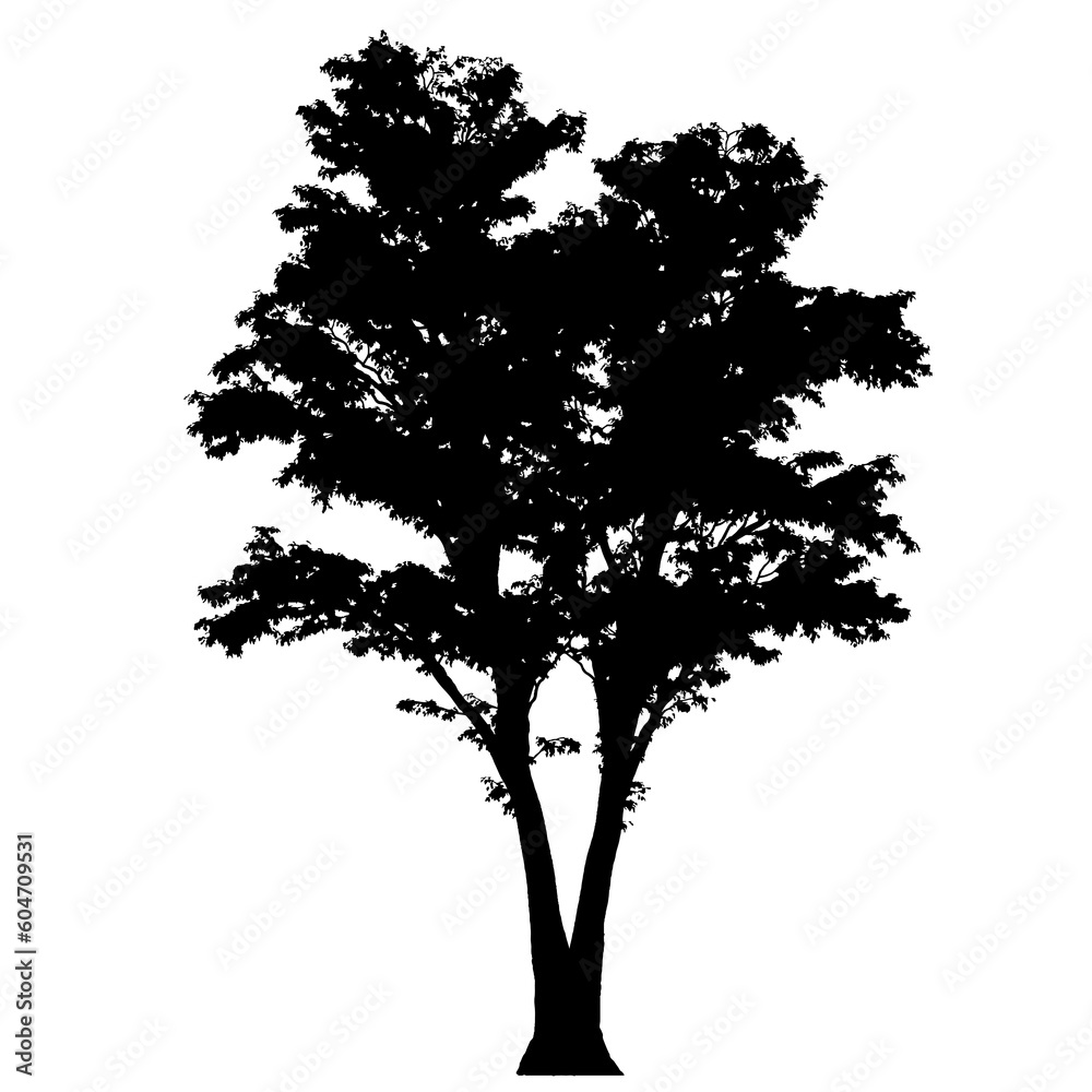 Fototapeta premium A selection of hardwood tree silhouettes on a transparent background. Set for composition, applications and design