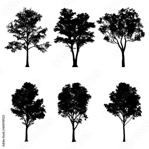 A selection of hardwood tree silhouettes on a transparent background. Set for composition, applications and design