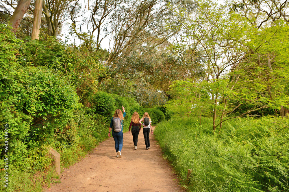 Fototapeta premium Promenade sur le GR34 en Bretagne - France