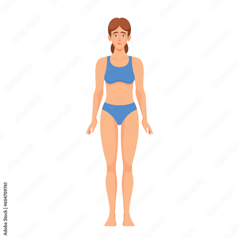 Female Body Anatomy. Head, Neck, Shoulders, Chest and Breasts, Abdomen, Waist or Hips. Thighs, Knees, Calves and Ankles Female Body Anatomy. Head, Neck, Shoulders, Chest and Breasts, Abdomen, Waist or Hips. Thighs, Knees, Calves and Ankles