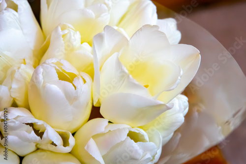 White tulips boquet  soft focus