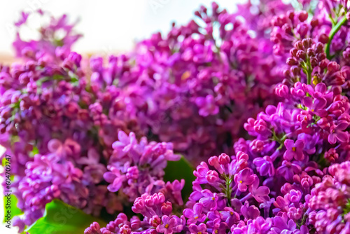 Fototapeta Naklejka Na Ścianę i Meble -  Purple lilac flowers background. Spring background