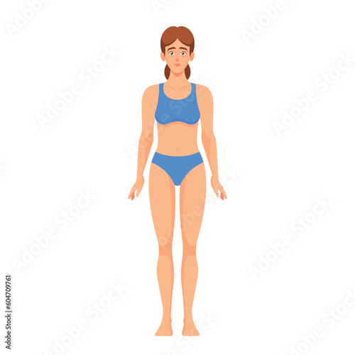 Female Body Anatomy. Head, Neck, Shoulders, Chest and Breasts, Abdomen, Waist or Hips. Thighs, Knees, Calves and Ankles