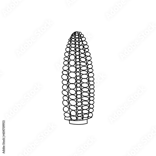 corn, sketch vector illustration, isolated on a white background. collection of vegetables