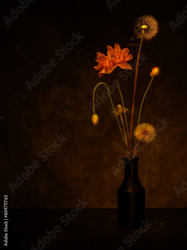 Still life with poppies, poppy buds and dandelion clocks. Timeconcept in chiaroscuro style. photo
