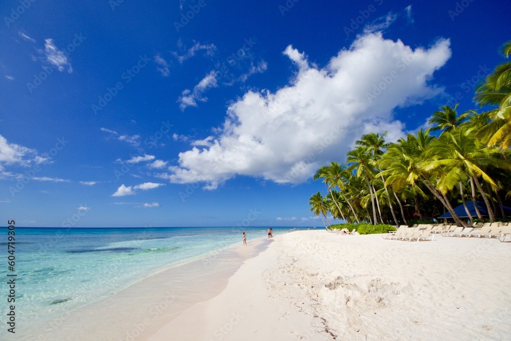 Tropical and exotic landscape. White sand beach and azure sea water. Saona island, Dominican Republic 