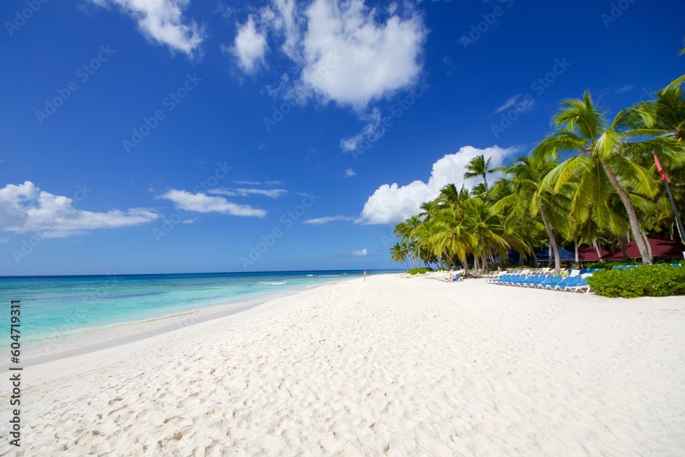 beach with palm trees in Saona island, Dominican Republic 