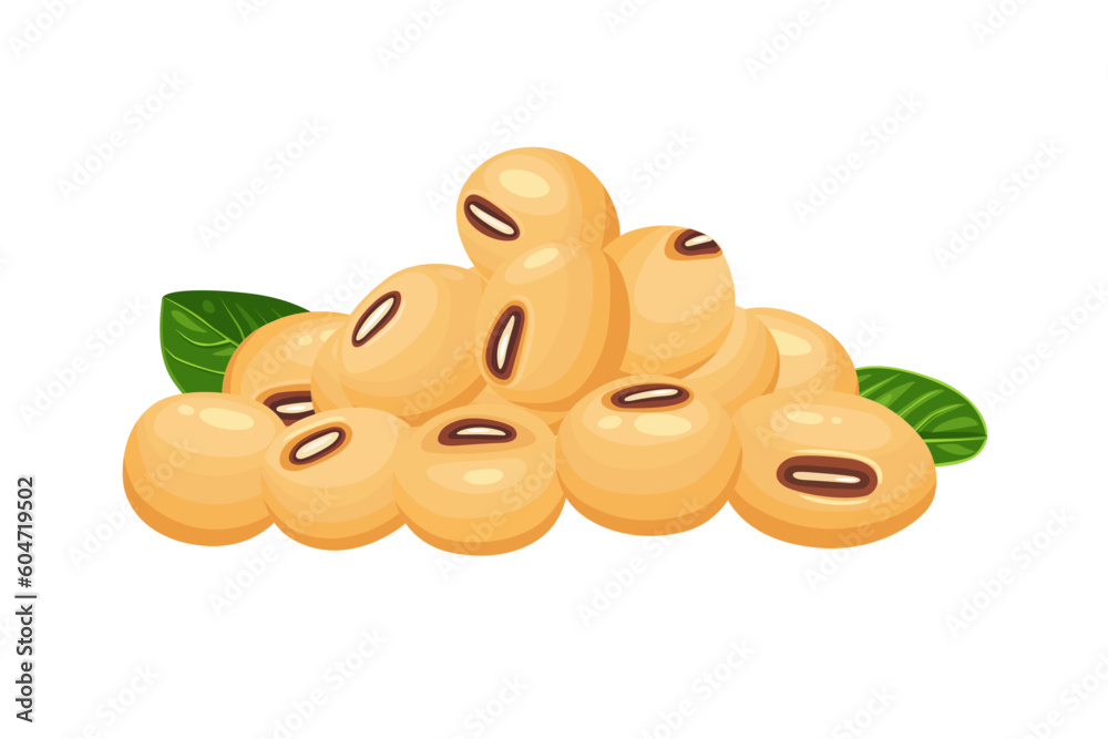 Fresh soybean vector. Isolated on white background. Fresh soybean vector. Isolated on white background.