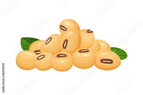 Fresh soybean vector.  Isolated on white background.