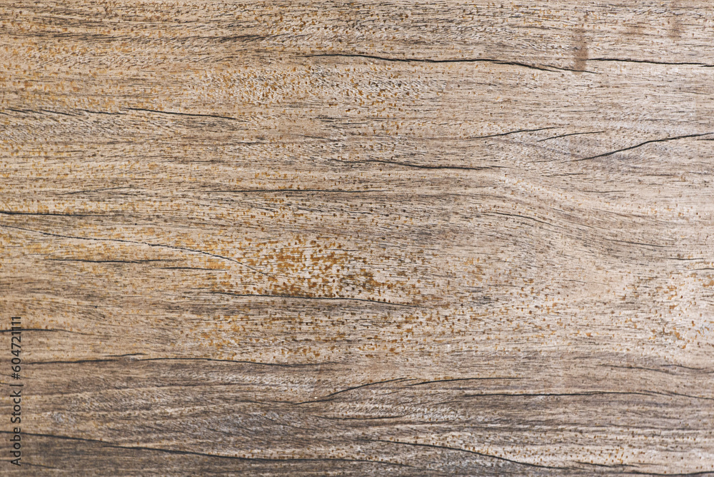 An unvarnished wooden surface with many grains An unvarnished wooden surface with many grains