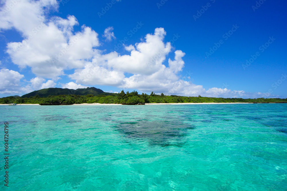 夏の石垣島の川平湾の澄んだ海と青い空