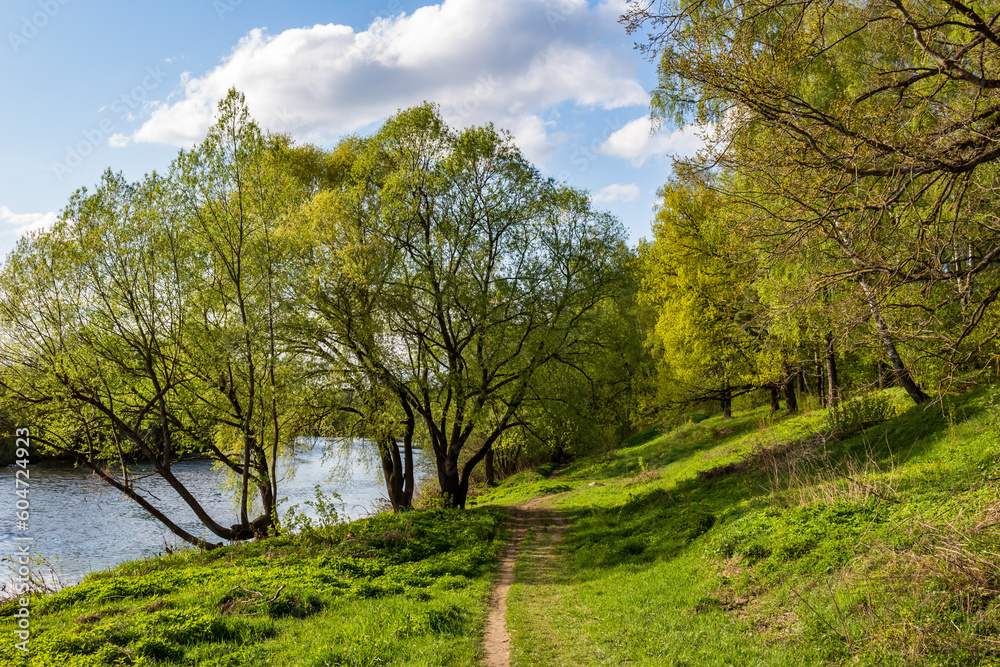 Picturesque green landscape of the river bank on a May day
