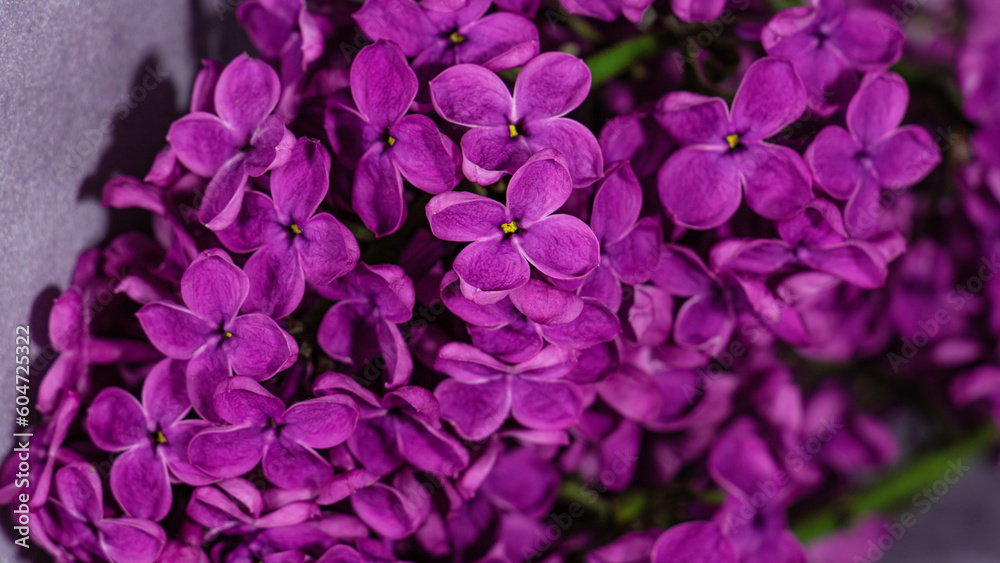 Bouquet of lilac macro shooting with a blurred background