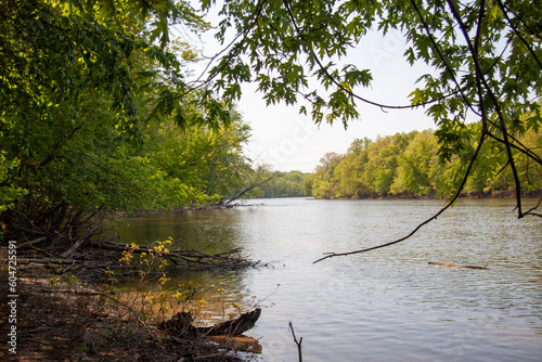 Overhanding trees framing the flowing river