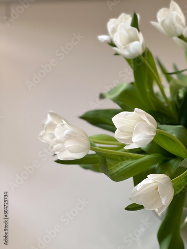 close up of white tulips in glas vase on white table 