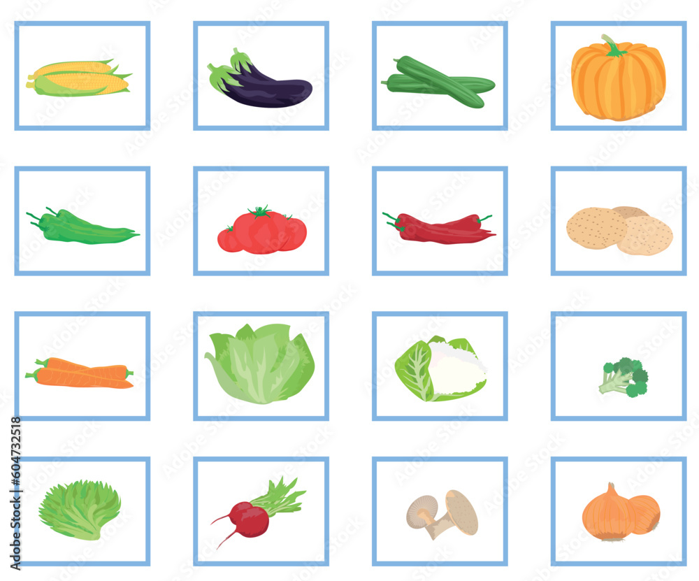 set of the most well-known vegetables