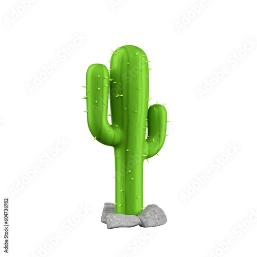Photography Cactus realista isolado