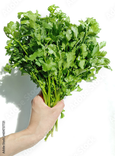 A bunch of coriander being held by hand.