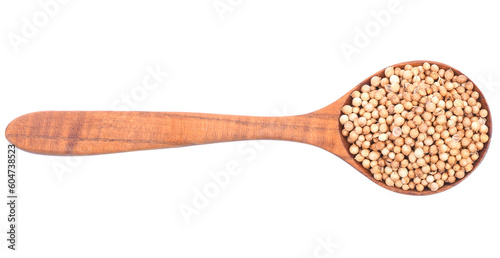 Coriander seeds isolated transparent png