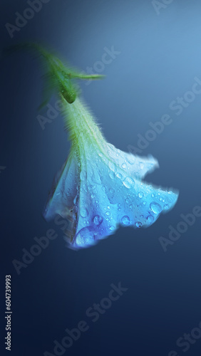 Blue Flower Droplet with Water Drops Close Up, Macro Photography Floral Art