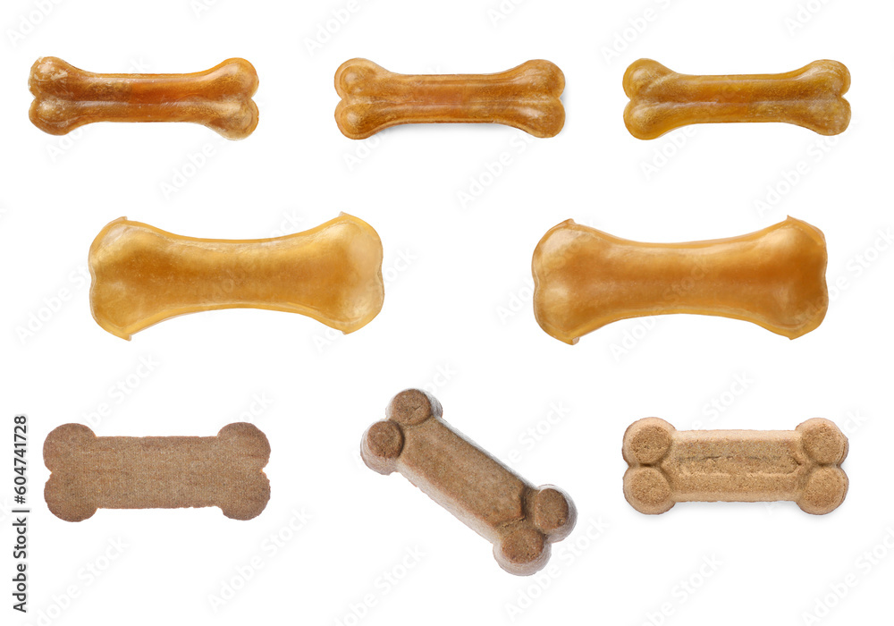 Set with different bone dog treats on white background