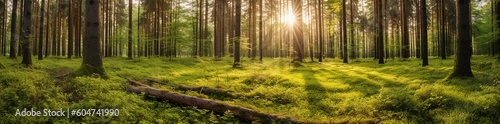 Sunrays shining through the trees in a forest, created with Generative AI technology © mafizul_islam