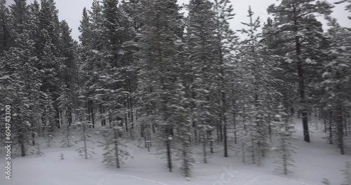 Snowy arctic taiga landscape travel photo