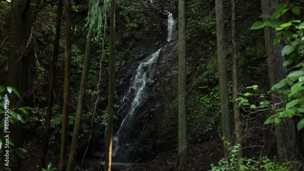 いだい橋の滝 静岡県島田市 いだい橋の滝 静岡県島田市
