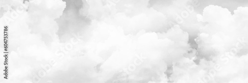 Gray sky with white clouds, beautiful nature as a background. Panorama of cloudy gray sky
